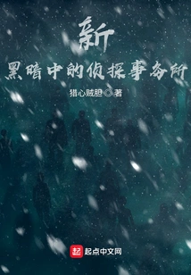 Detective Agency in the New Dark