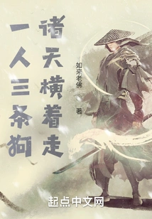 One Person and Three Dogs, the Heavens Are Walking Sideways