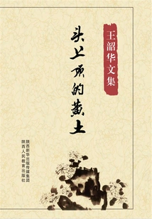 The Loess on the Head (collected Works of Wang Shaohua)