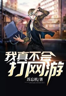 I Really Don't Know How to Play Online Games