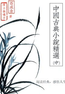 Selected Chinese Classic Novels (part 2)