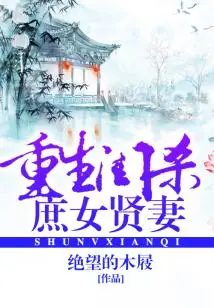The Reborn Concubine and the Good Wife