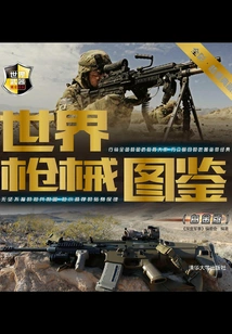 World Firearms Illustrated Edition (platinum Edition)