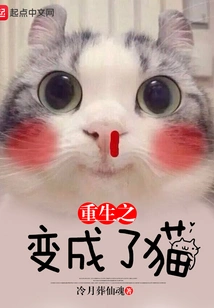 Reborn as a Cat