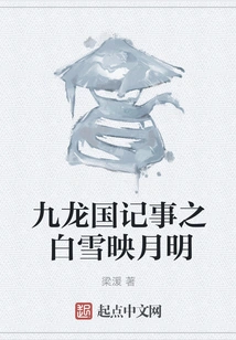 Chronicles of the Kingdom of Kowloon: the White Snow Reflects the Moonlight