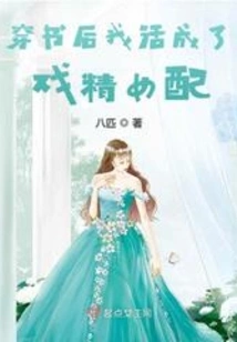 After Wearing the Book, I Became a Drama Heroine