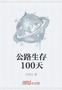 100 Days on the Road