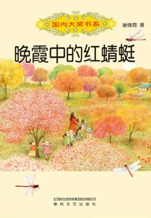 Red Dragonfly in Sunset