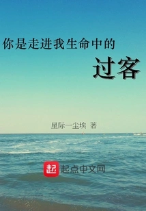 You Are a Passer-by Who Walks into My Life