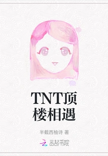 Tnt Rooftop Encounter