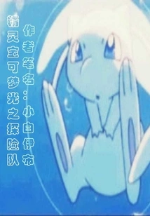 Pokémon Light Adventure Team