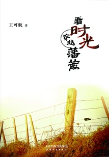 Watching Time Pass Through Barriers