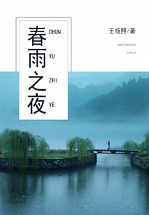 Spring Rain Night