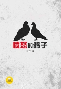 Angry Pigeon (a Good Chinese Novel)