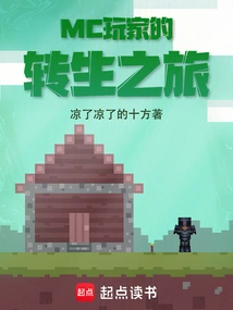 Mc Player's Journey to Reincarnation