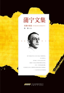 Buning's Collected Works·novel Vol