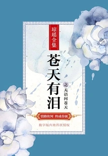 There Are Tears in the Sky and I Have No Words to Ask the Sky