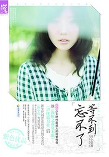 Can't Wait, Can't Forget