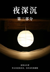 Deep Night·part 3 (zhang Henshui's Classic Novel)