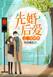 Marriage First, Love Later - Love at First Sight