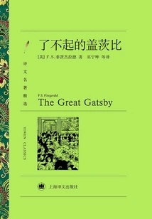 The Great Gatsby (selected Translations of Classics)