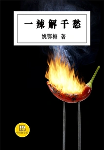 One Spicy Can Solve Thousands of Sorrows (a Good Chinese Novel)