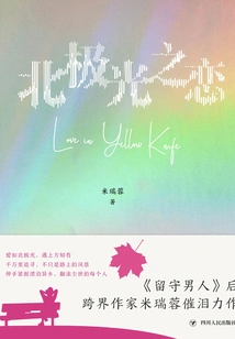 Northern Lights Love