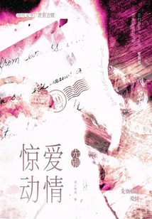 Don't Disturb Love First