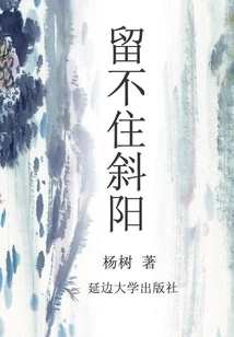 Can't Keep the Setting Sun