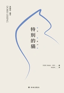 Special Cat (updated Edition)