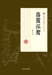 The Solitary Duck in the Falling Clouds (collection of Popular Novels of the Republic of China·zhang Henshui Volume)