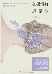 If I Didn't Meet You