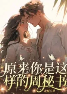 So You Are This Kind of Secretary Zhou
