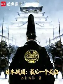 Japan's Warring States Period: the Last Passage