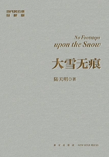 Heavy Snow Leaves No Trace