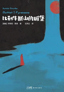 Castle in the Pyrenees