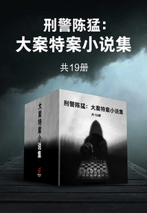 Detective Chen Meng: a Collection of Major and Special Case Novels (19 Volumes in Total)
