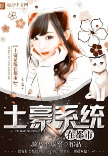 The Local Tycoon System in the City