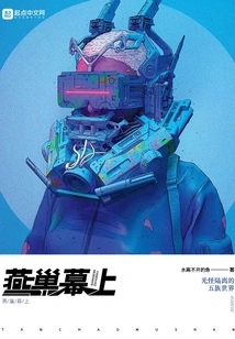 Swallow's Nest Curtain