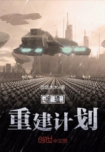 Ruins Reconstruction Plan