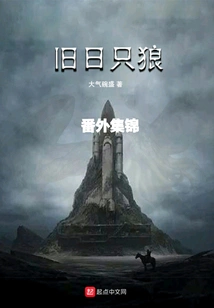 A Collection of Extra Episodes from the Old Days of Sekiro