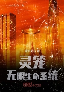 Spirit Cage Infinite Life System