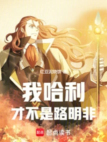 I Am Harry, Not Lu Mingfei