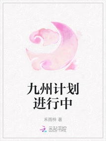 Kyushu Plan in Progress