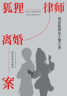 Fox Lawyer Divorce Case