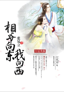 Mr. Xiang Goes East and I Go West