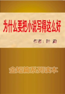 Why Should the Novel Be Written so Well?