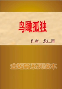 Bird's Eye View of Loneliness