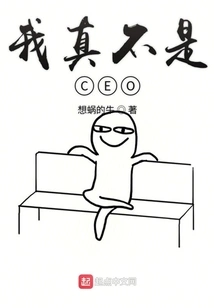I'm Really Not a Ceo