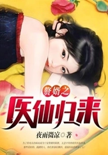 The Son-in-law's Medical Fairy Returns